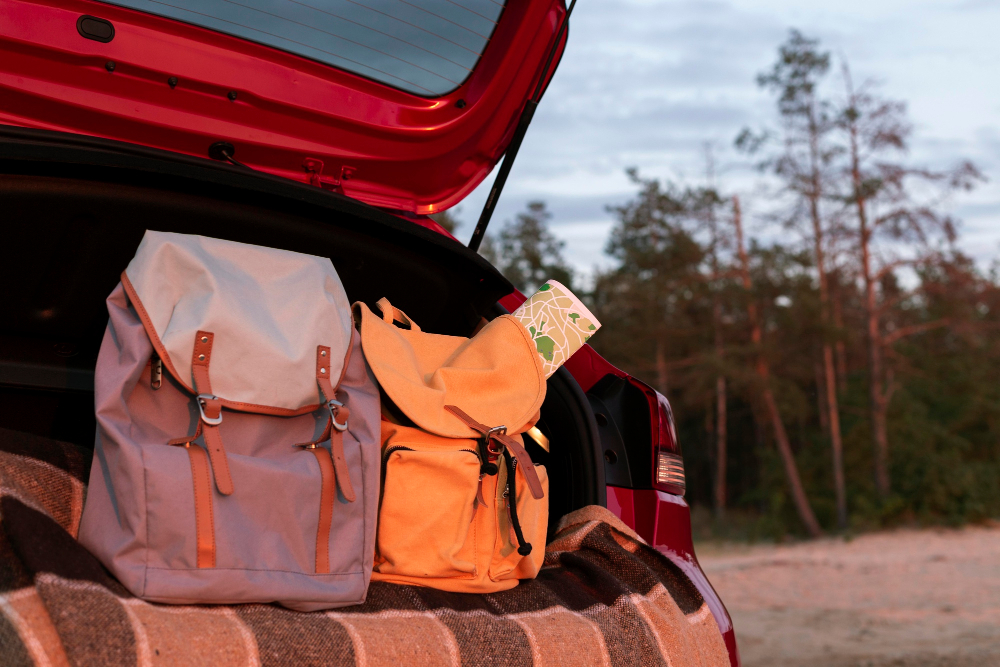 conseils pour un voyage sans stress